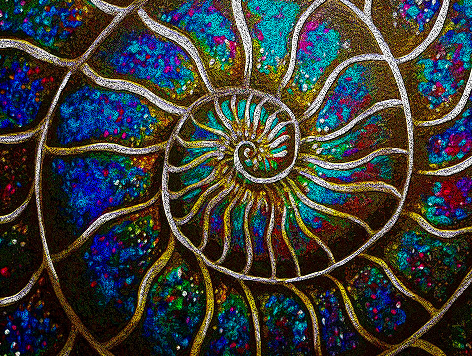 Ammonite 2 art by Doug LaRue